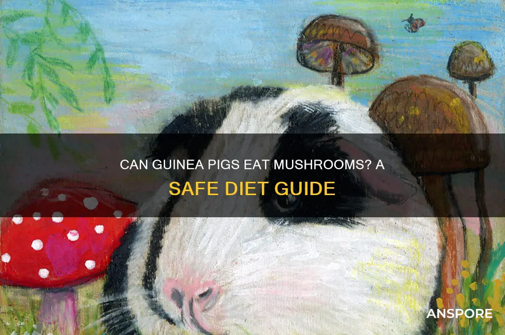 can my guinea pig eat mushrooms