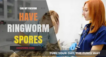 Can Your Vacuum Harbor Ringworm Spores? Uncovering the Hidden Risks