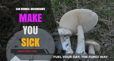 Can Common Mushrooms Cause Illness? Risks and Symptoms Explained