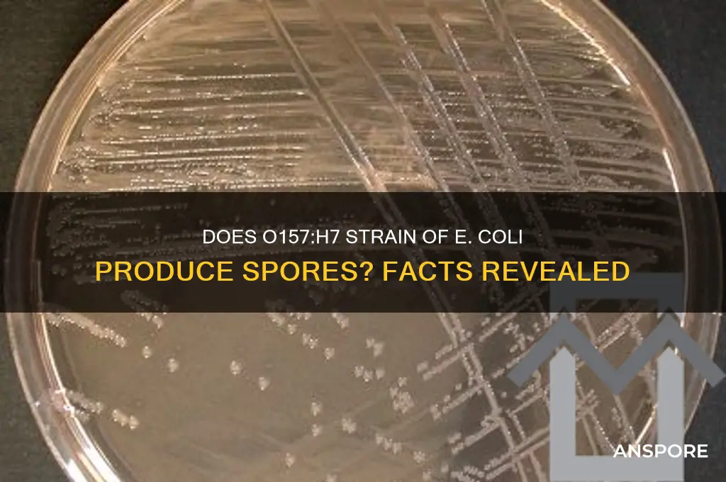 can o157h7 form spores