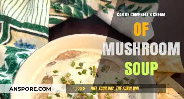 Creamy Comfort: Exploring the Versatile Campbell's Cream of Mushroom Soup