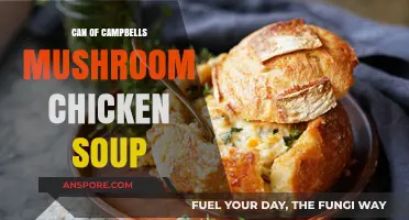 Creamy Comfort: Campbell's Mushroom Chicken Soup Recipe Ideas & Tips