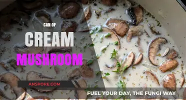 Cream of Mushroom Soup: Versatile Recipes and Creative Uses