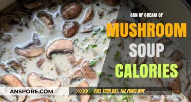 Cream of Mushroom Soup Calories: Nutritional Breakdown and Health Insights