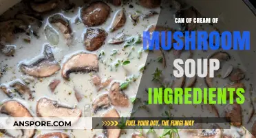 Cream of Mushroom Soup Ingredients: A Simple Breakdown for Home Cooks