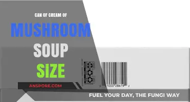 Cream of Mushroom Soup Can Size Guide: Perfect Portions Explained