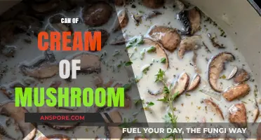 Cream of Mushroom Soup: Versatile Uses, Recipes, and Cooking Tips