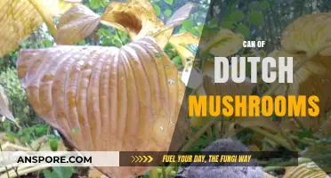 Exploring the Unique Flavor of a Can of Dutch Mushrooms