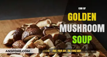 Golden Mushroom Soup: A Versatile Can for Quick, Flavorful Meals