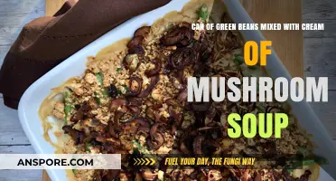 Creamy Green Bean Casserole: A Classic Comfort Food Recipe