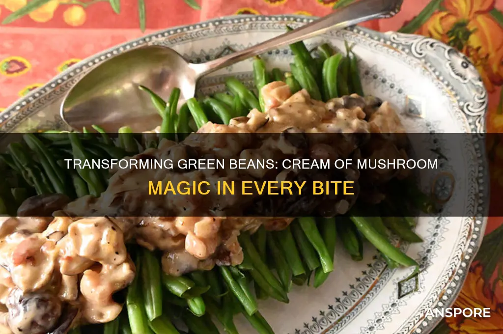 can of greenbeans to cream of mushroom