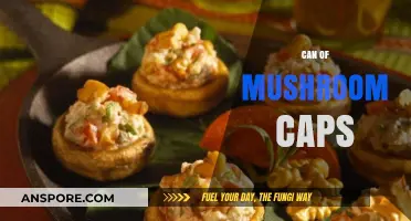 Creative Ways to Use a Can of Mushroom Caps in Cooking