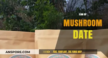 Can of Mushroom Date: Expiration, Safety, and Storage Tips