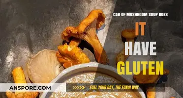 Is Mushroom Soup Gluten-Free? Check Your Can Label Carefully