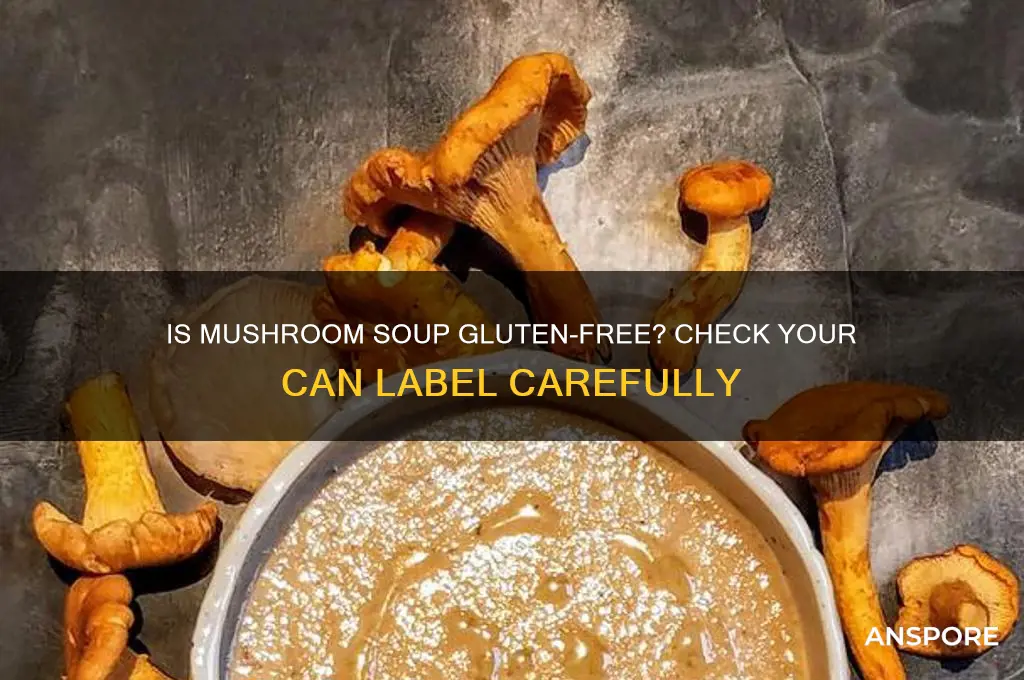 can of mushroom soup does it have gluten