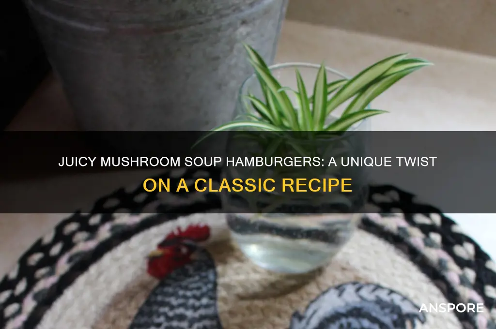 can of mushroom soup hamburgers recipe