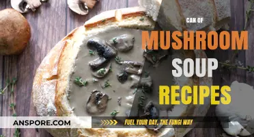 Delicious and Easy Mushroom Soup Recipes to Try at Home