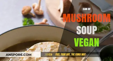 Is Canned Mushroom Soup Vegan? A Comprehensive Guide for Plant-Based Eaters