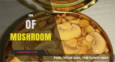 Exploring the Versatility and Benefits of a Can of Mushrooms