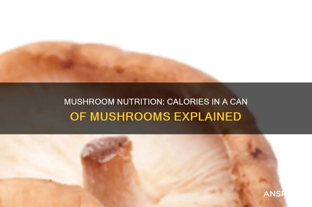 can of mushrooms calories