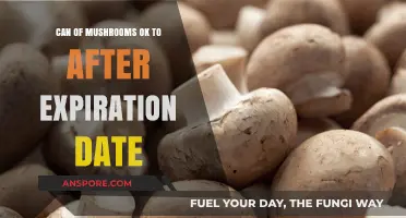 Are Expired Canned Mushrooms Safe to Eat? A Guide