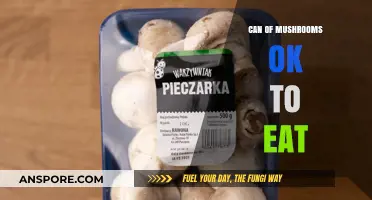 Are Canned Mushrooms Safe to Eat? A Quick Guide