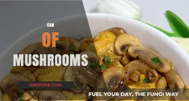 Exploring the Versatility and Benefits of a Can of Mushrooms