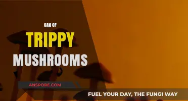 Exploring the Psychedelic World of Trippy Mushrooms: A Mind-Bending Adventure