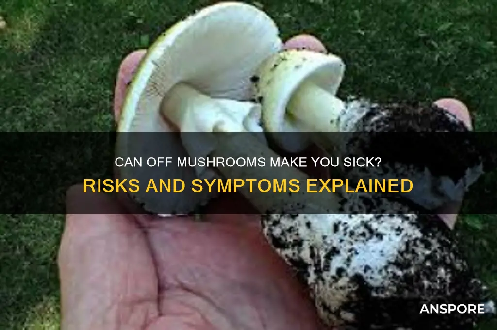can off mushrooms make you sick