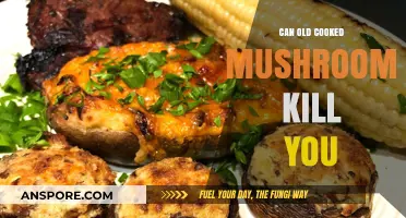 Can Old Cooked Mushrooms Be Deadly? Uncovering the Risks