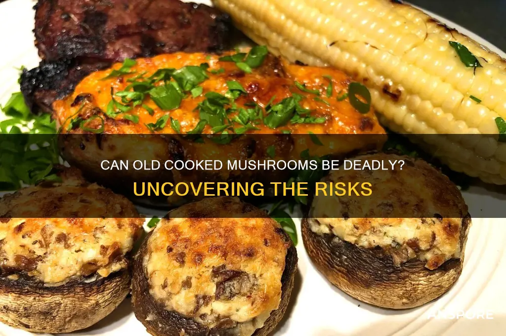 can old cooked mushrooms kill you