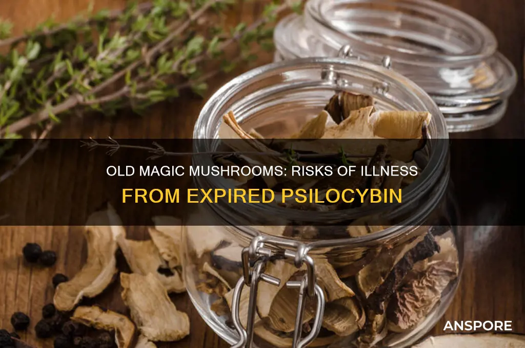 can old magic mushrooms make you sick