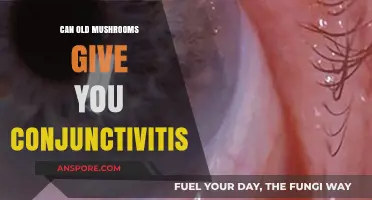 Old Mushrooms and Eye Health: Can They Cause Conjunctivitis?