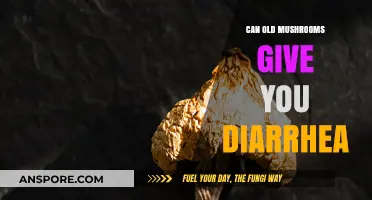 Old Mushrooms and Diarrhea: Risks, Causes, and Prevention Tips