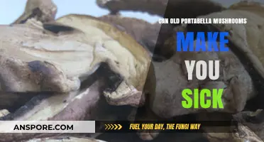 Can Old Portabella Mushrooms Make You Sick? Risks Explained