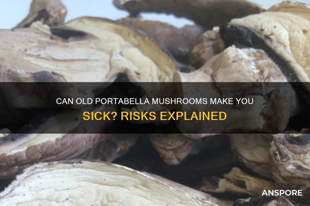 can old portabella mushrooms make you sick