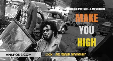 Can Old Portobello Mushrooms Induce a Psychedelic High?