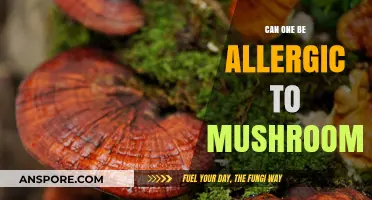 Mushroom Allergies: Uncovering the Truth About Fungal Sensitivities