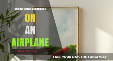 Flying with Fungi: Can You Bring Mushrooms on an Airplane?