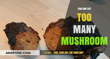 Mushroom Overload: Risks of Consuming Excessive Fungi in Your Diet