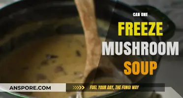 Freezing Mushroom Soup: Tips for Preserving Flavor and Texture