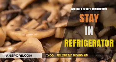 How Long Do Cooked Mushrooms Last in the Fridge?