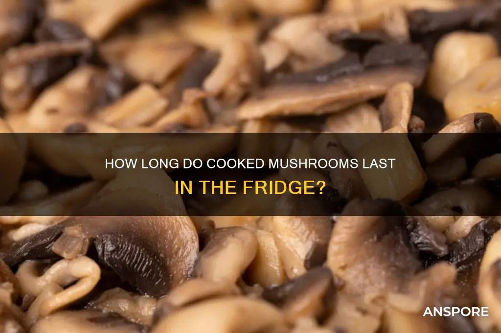 can ones cooked mushrooms stay in refrigerator