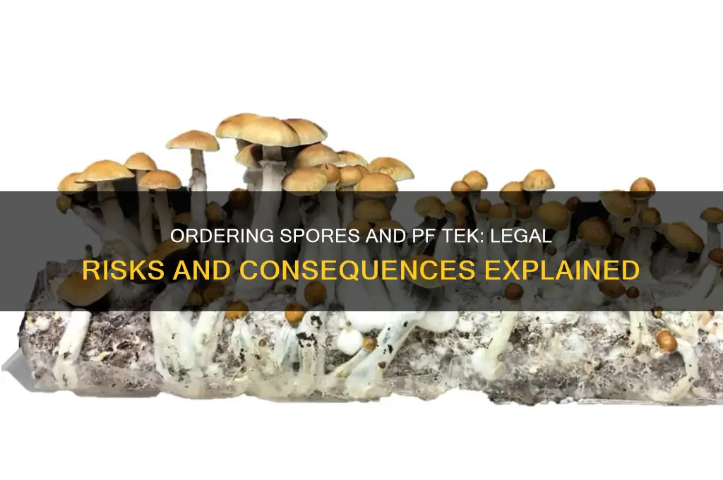 can ordering spores abd pftek get you caught