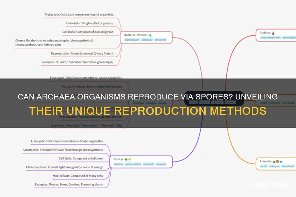 can organisms in archaea domain reporduce with spores