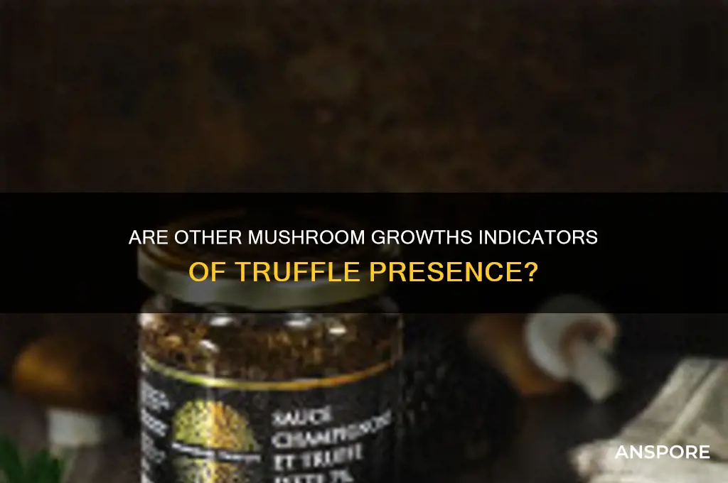 can other mushroom growth be a sign of truffles