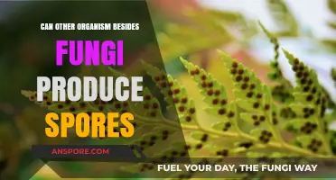 Beyond Fungi: Exploring Other Organisms Capable of Producing Spores