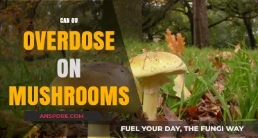 Mushroom Overdose Risks: Understanding Safe Consumption Limits and Effects