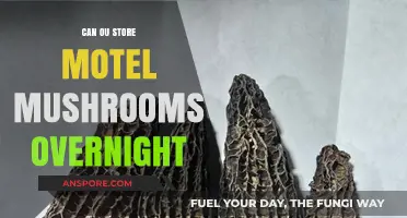 Storing Morel Mushrooms Overnight: Tips for Freshness and Safety