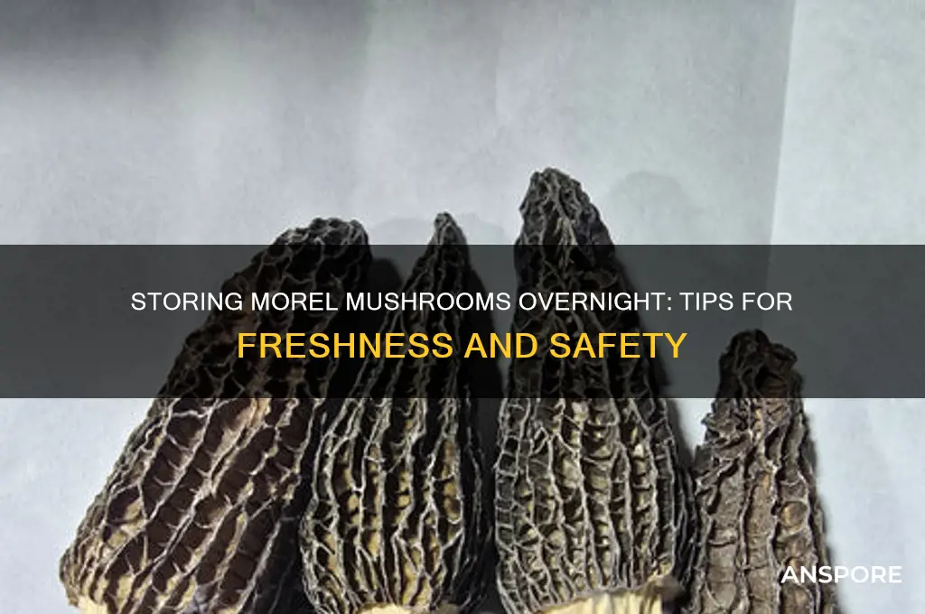 can ou store motel mushrooms overnight